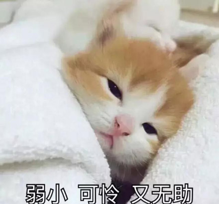 最早是源自于一只超丧的猫咪表情包的走红被大家所熟知,后来成为许多